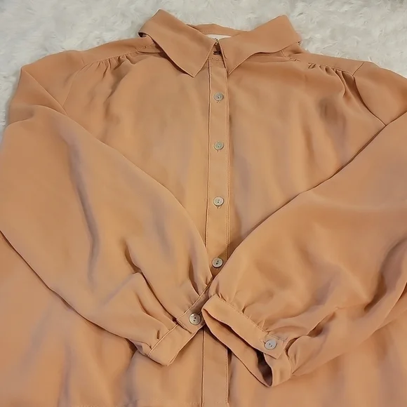 Forever 21 Blush Colored Button-up Sheer Blouse Size Small - Picture 5 of 11